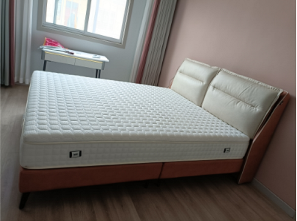 双虎家私卧室zq-rc2106软床——京东居家