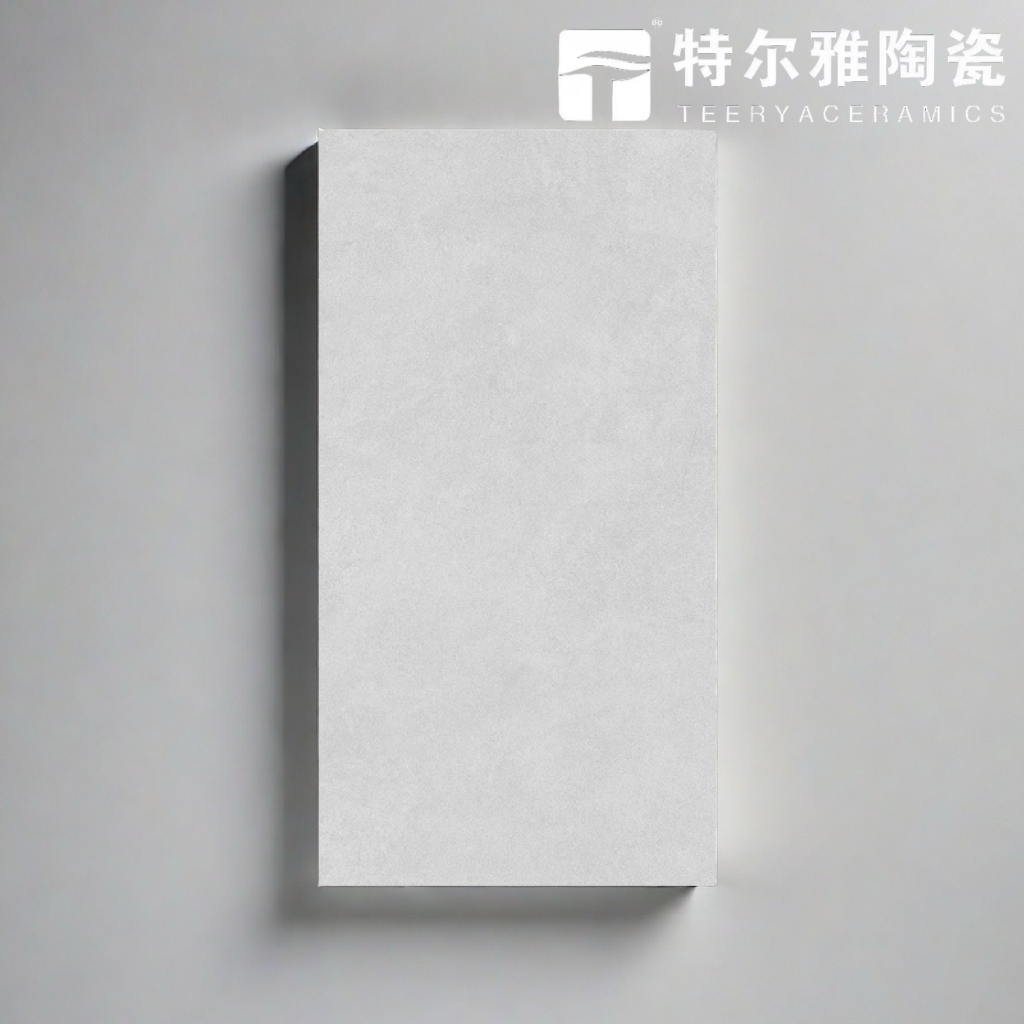 【特尔雅瓷砖】微水泥柔光瓷砖TR8805 400*800